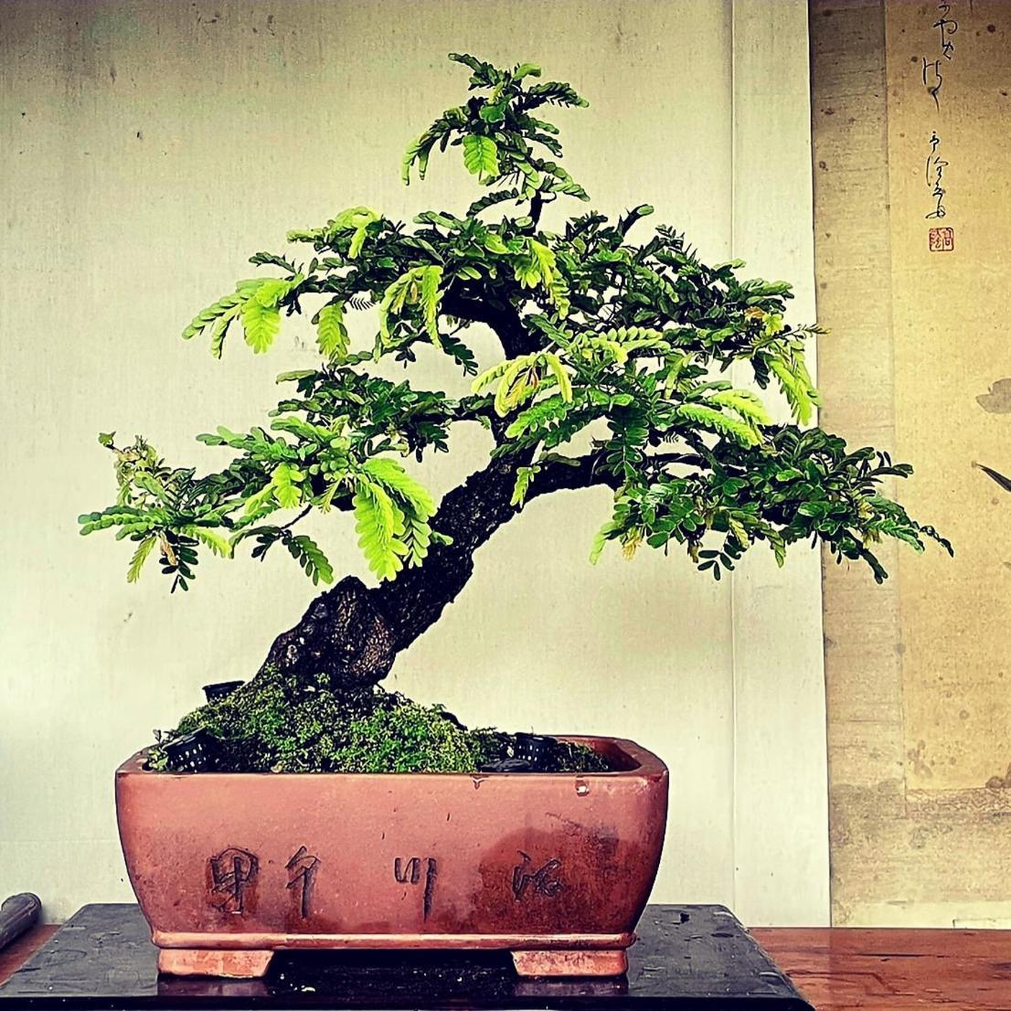 Hotel Ihoc - Phuket Oldtown Ban Lo Long Zewnętrze zdjęcie